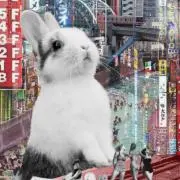 うさこ【プロフ要確認】の画像