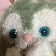 ジュエルの画像