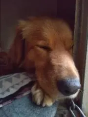Sunの画像