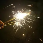 タヌキ