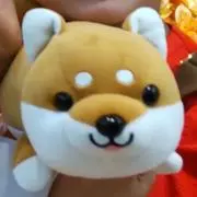 mokaの画像