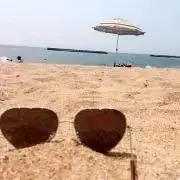 ハムの画像