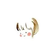 miho .の画像