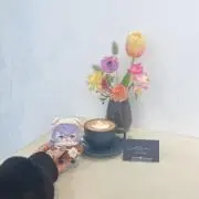 猫汰@まとめ売り100円値引 プロフ必読の画像