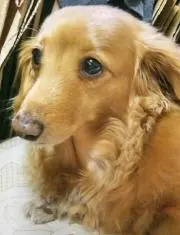 ワカサチパークの画像