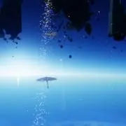 月夜の画像