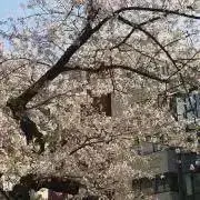 すう　プロフィールの一読をお願いします。の画像