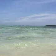 Kokonaの画像