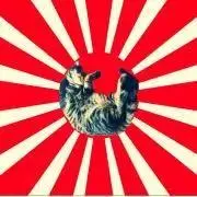 つかむの画像