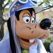 ぴつの画像