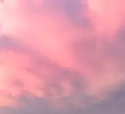 ミーナの画像