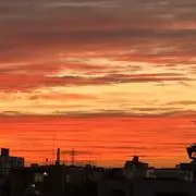 そしじの画像