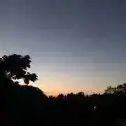 木根の画像