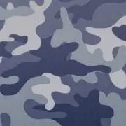 YSC