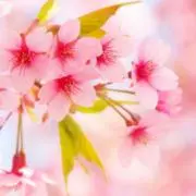 ＊hiromi＊