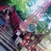 のんの画像