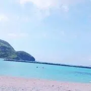 ハロンの画像