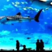 ☆G☆の画像