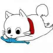 シロネコの画像