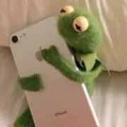ぽんさんの画像