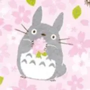 ねこすき