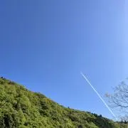 Samuelの画像
