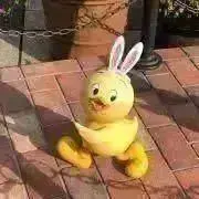 うさピヨの画像