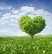 SEVENTEEN NEW タペストリージュン 文化祭 輪投げ - メルカリ