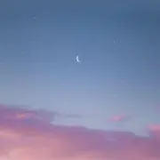 エムの画像