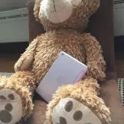 コデツヨの画像