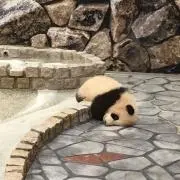 みーんの画像