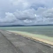 かなの画像