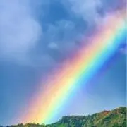 あずきの画像