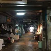 まやの画像