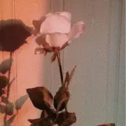 じぇいとさとうの画像