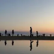 C.の画像
