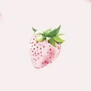 いちごの画像