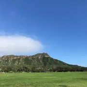 かぜこまの画像