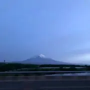 とってぃ