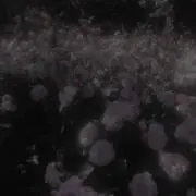 ちゃうちゃうの画像