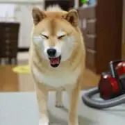 あずの画像