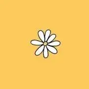hiloの画像