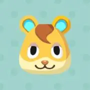こんぺいとうの画像