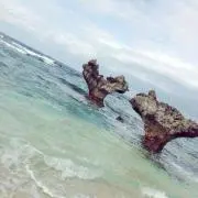 引っ越しのため6/30まで出品の画像