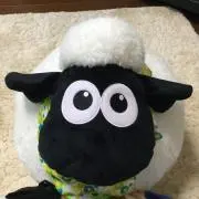 てりあの画像