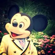 きこむ