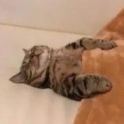 きっち◆プロフ必読