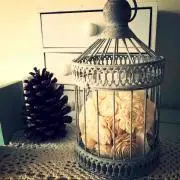 ちーすけの画像