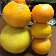 mikan