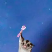 るんの画像